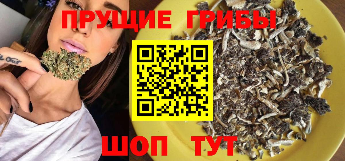 Псилоцибиновые грибы прущие грибы Апшеронск