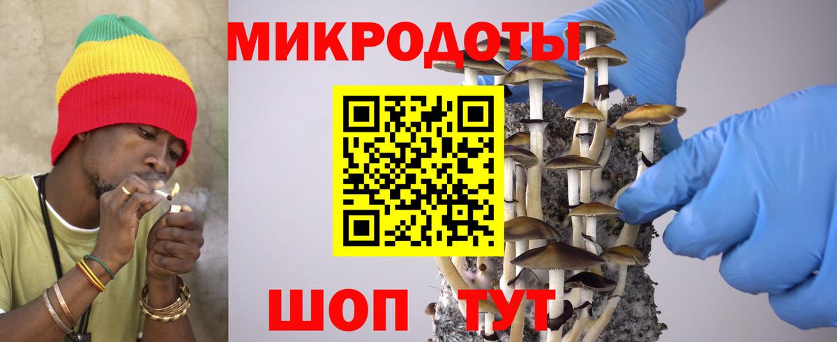 продажа наркотиков  Вход с VPN  Апшеронск  Псилоцибиновые грибы Psilocybe 